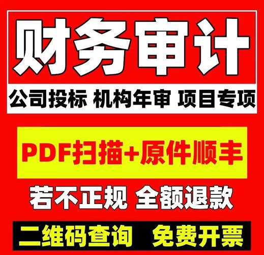商丘专项审计报告出具指南 流程、要点与规范